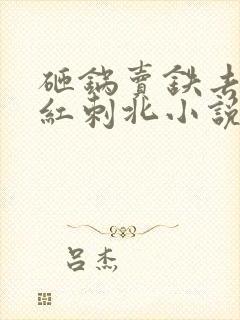 砸锅卖铁去上学红刺北小说未删版