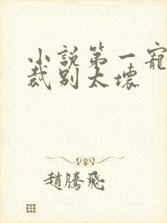 小说第一宠婚总裁别太坏