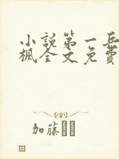 小说第一兵王于枫全文免费阅读