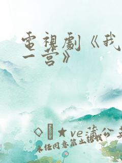 电视剧《我的特一营》