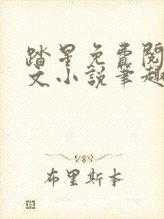 踏星免费阅读全文小说笔趣阁