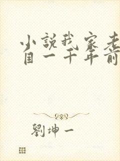 小说我家老婆来自一千年前全集免费