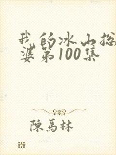 我的冰山总裁老婆第100集