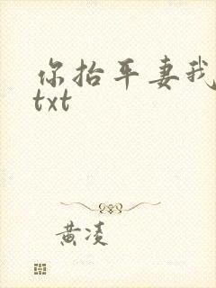 你抬平妻我换夫txt