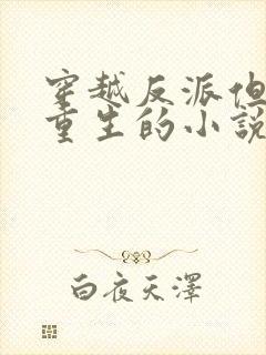 穿越反派但女主重生的小说