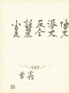 小说反派他过分美丽全文免费阅读