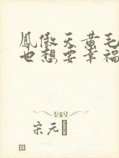 凤傲天黄毛反派也想要幸福