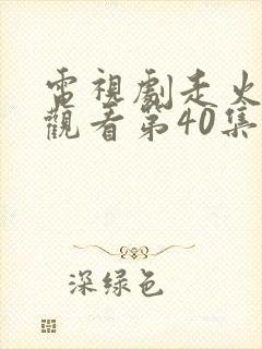 电视剧走火免费观看第40集