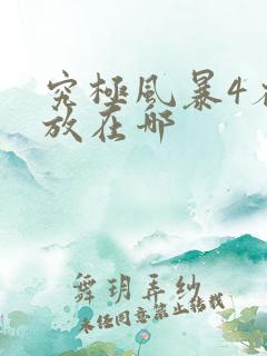 究极风暴4存档放在哪