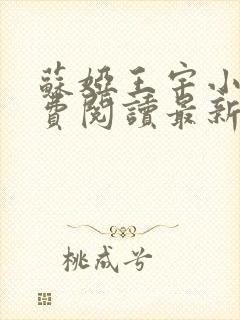 苏娅王宇小说免费阅读最新章节更新时间