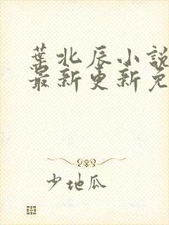 叶北辰小说超前最新更新免费阅读