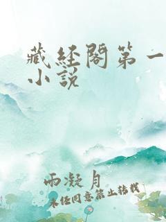 藏经阁第一版主小说