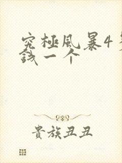 究极风暴4多少钱一个