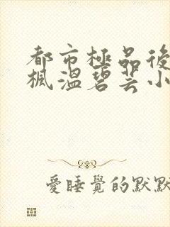 都市极品后宫唐枫温碧芸小说