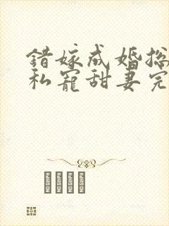 错嫁成婚总裁的私宠甜妻完整版免费阅读