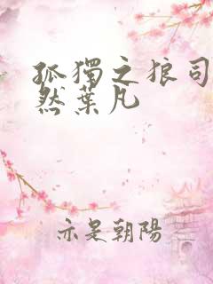 孤独之狼司空嫣然叶凡