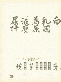 尿液为乳白色是什么原因