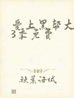 爱上黑帮大佬第3季免费