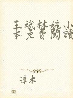 王斌林婉小说全本免费阅读无弹窗