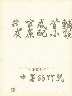 我穿成首辅的炮灰原配小说免费阅读