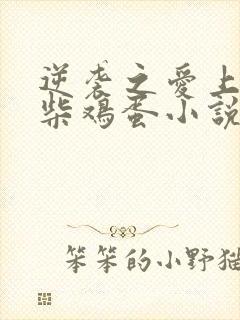 逆袭之爱上情敌柴鸡蛋小说完全版