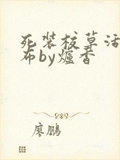 死装校草活该抹布by炉香