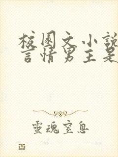 校园文小说推荐言情男主是校霸