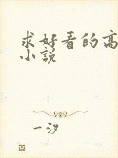 求好看的高干文小说