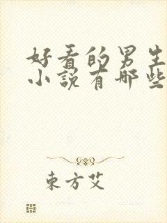 好看的男生完结小说有哪些