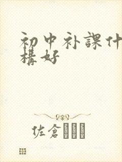 初中补课什么机构好