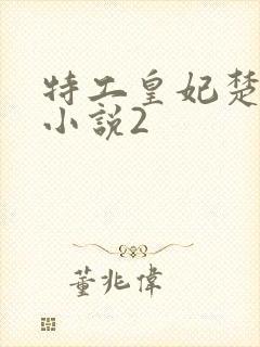 特工皇妃楚乔传小说2