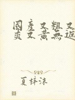 国产又粗又猛又爽又黄无遮挡