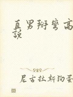 直男掰弯高h小说