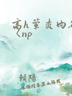 高h荤爽肉欲文〈np