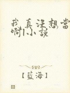 我真没想当皇帝啊l小说