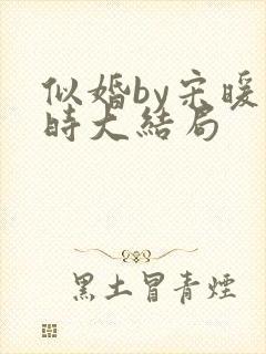 似婚by宋暖顾时大结局