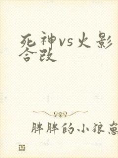 死神vs火影整合改