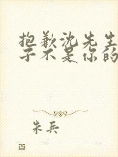 抱歉沈先生,孩子不是你的短剧大结局