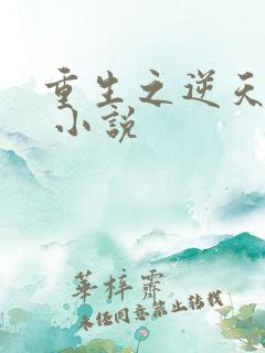 重生之逆天邪妃 小说