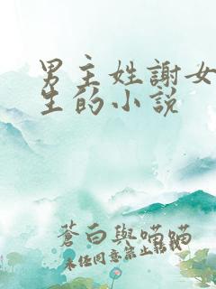 男主姓谢女主重生的小说