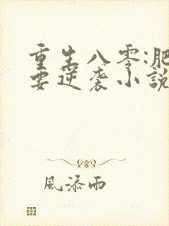 重生八零:肥女要逆袭小说免费阅读ba