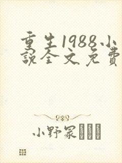 重生1988小说全文免费阅读
