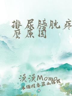 排尿膀胱疼是什么原因