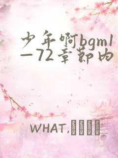 少年啊bgm1—72章节内容txt