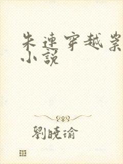 朱连穿越崇祯的小说