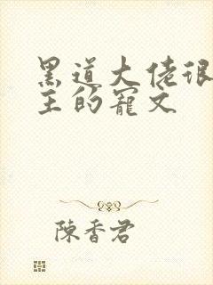 黑道大佬很爱女主的宠文