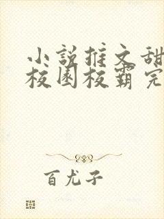 小说推文甜宠文校园校霸完结文