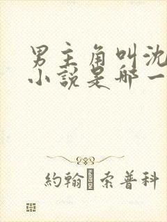 男主角叫沈浪的小说是哪一部