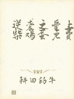 逆袭之爱上情敌柴鸡蛋免费全文下载