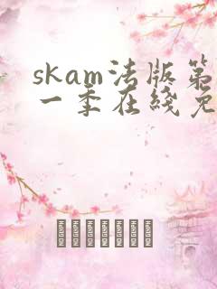 skam法版第一季在线免费观看